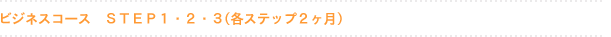 ビジネスコースステップ1・2・3